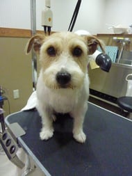 マイロちゃん❤