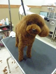 アルトちゃん❤