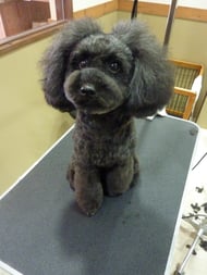 ミントちゃん❤