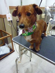 ジャンプちゃん❤