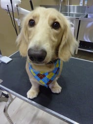 プアンちゃん❤