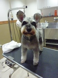 プッカちゃん❤