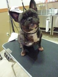 こはるちゃん❤