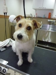 マイロちゃん❤