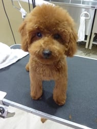 ファンちゃん❤