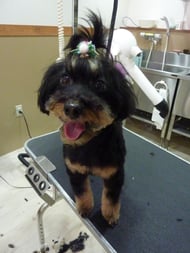 りんたろうちゃん❤