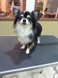 リップちゃん❤