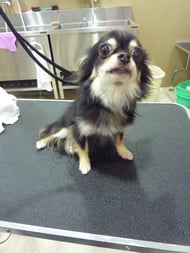 イチゴちゃん❤