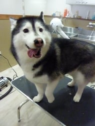 アンナちゃん❤