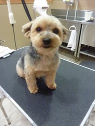 テンテンちゃん❤