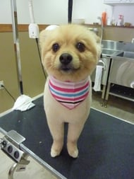 すももちゃん❤