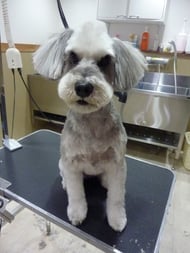 さくらちゃん❤