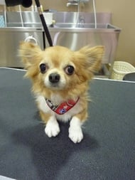 さくらちゃん❤