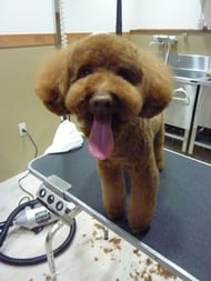 コロンちゃん❤