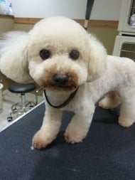 マックスちゃん❤