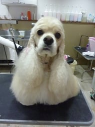 ジュエルちゃん❤