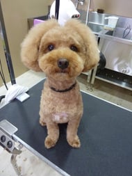 ノンタちゃん❤