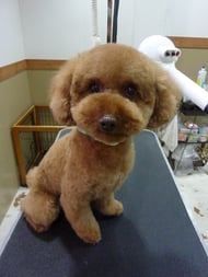 ナッツちゃん❤