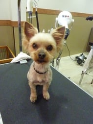 おかゆちゃん❤