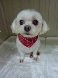 ミルクちゃん❤