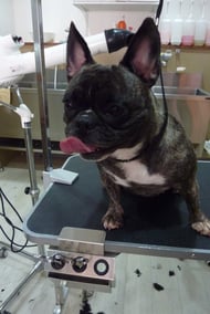 こはるちゃん❤