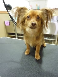 ショウちゃん❤