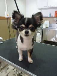 リップちゃん❤