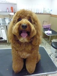 ミックちゃん❤