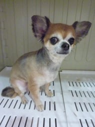 あざみちゃん❤