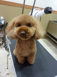 ナッツちゃん❤