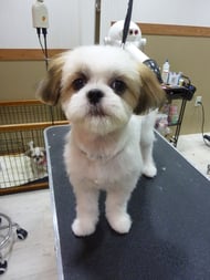 ノンノちゃん❤