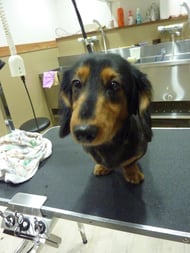 ウッキちゃん❤