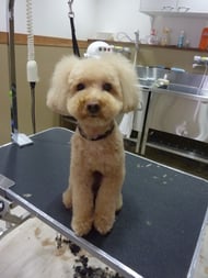 はづきちゃん❤