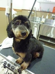 アンディーちゃん❤