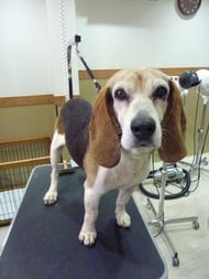 いっきゅうちゃん❤