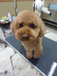 ナッツちゃん❤