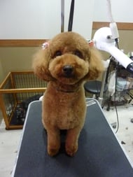 ミルキィちゃん❤