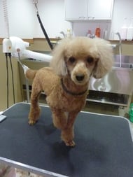 マリーちゃん❤