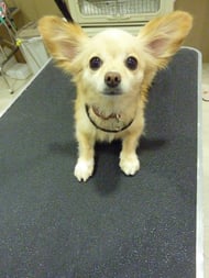 アリスちゃん❤