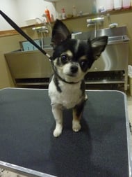 リップちゃん❤