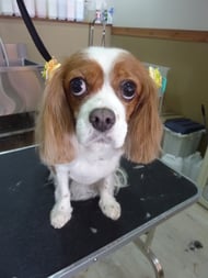 メリーちゃん❤