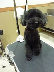 ＣＯＣＯちゃん❤