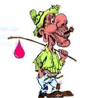 Experiment Kurs Können Bienen rechnen? Bienenwaben