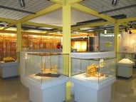 久慈琥珀博物館