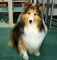 Erie's Birthday is 2/4th/03