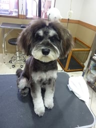 ちょびちゃん❤