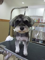 ちょびちゃん❤