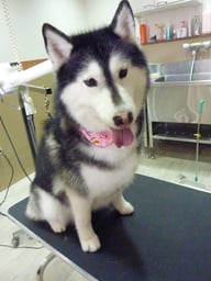 アンナちゃん❤