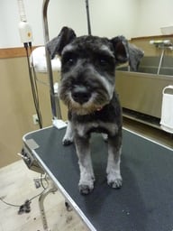 アーディちゃん❤