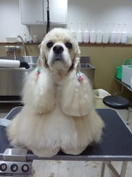 ジュエルちゃん❤